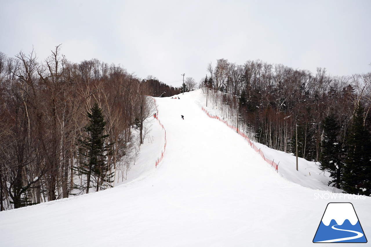 北海道ローカルスキー場巡り 2019～豊富町営豊富温泉スキー場・幌延町東ヶ丘スキー場・羽幌町民スキー場『びゅー』～